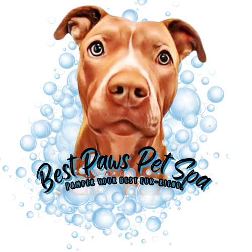 Best Paws Pet Spa, LLC.
