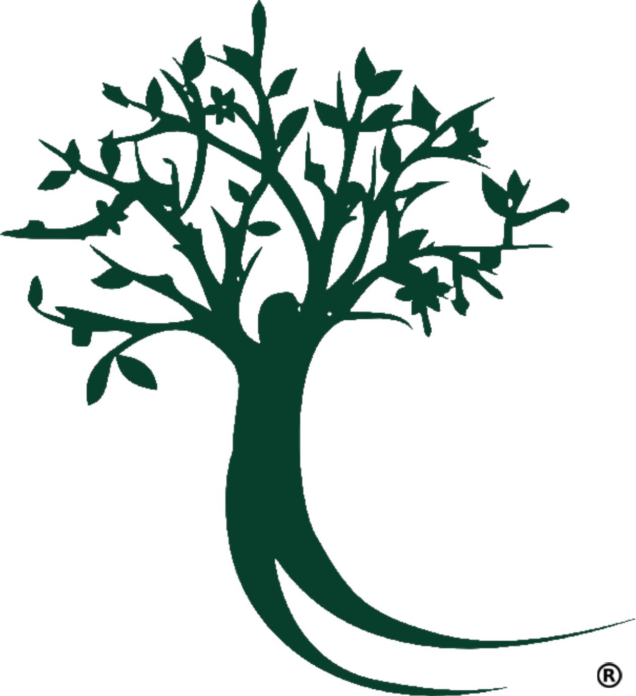 New Heights Educational Group, Inc