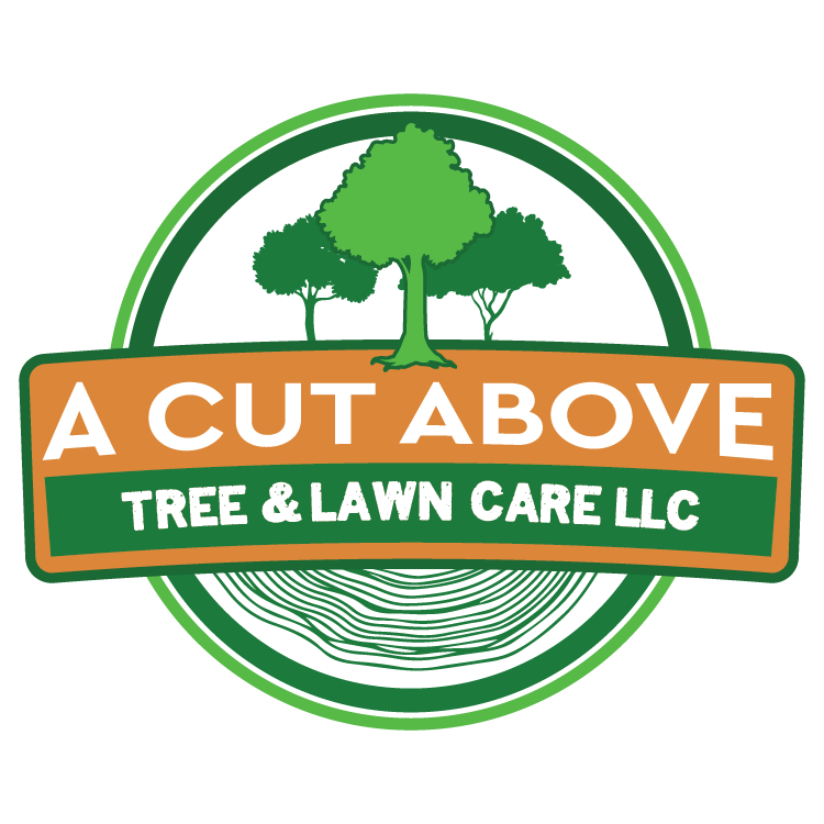 A Cut Above Lawn Care HSV