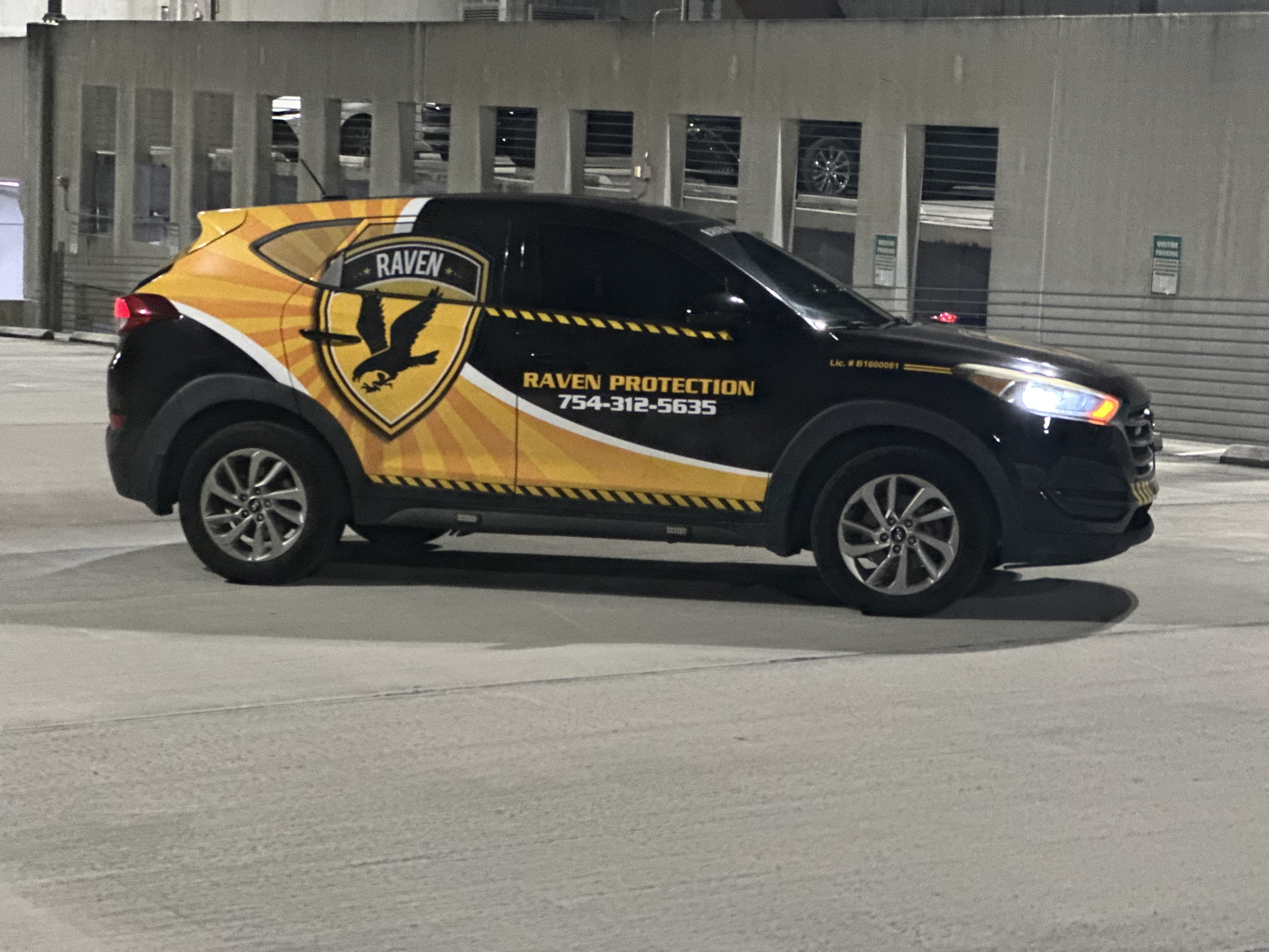 Raven Protection Services Inc