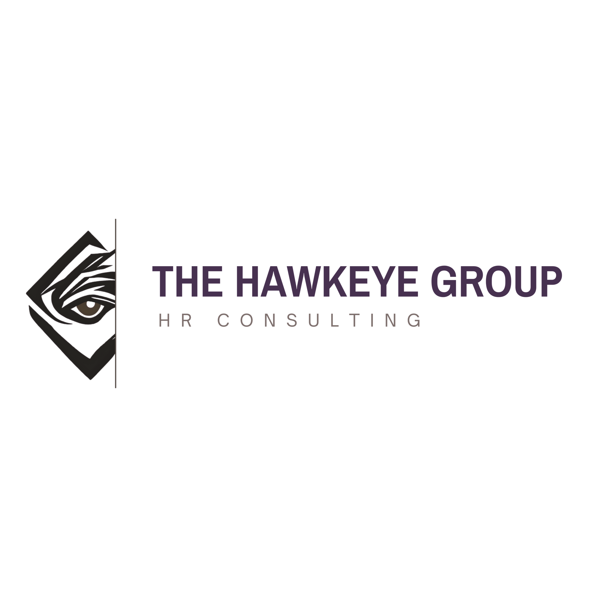 The Hawkeye Group LLC