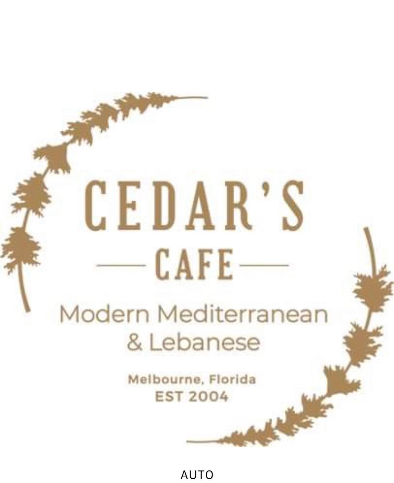 Cedars Restaurant Inc Dba Cedars Cafe
