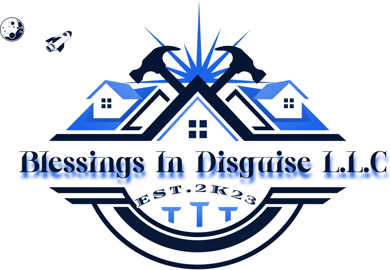 Blessings In Disguise L.L.C