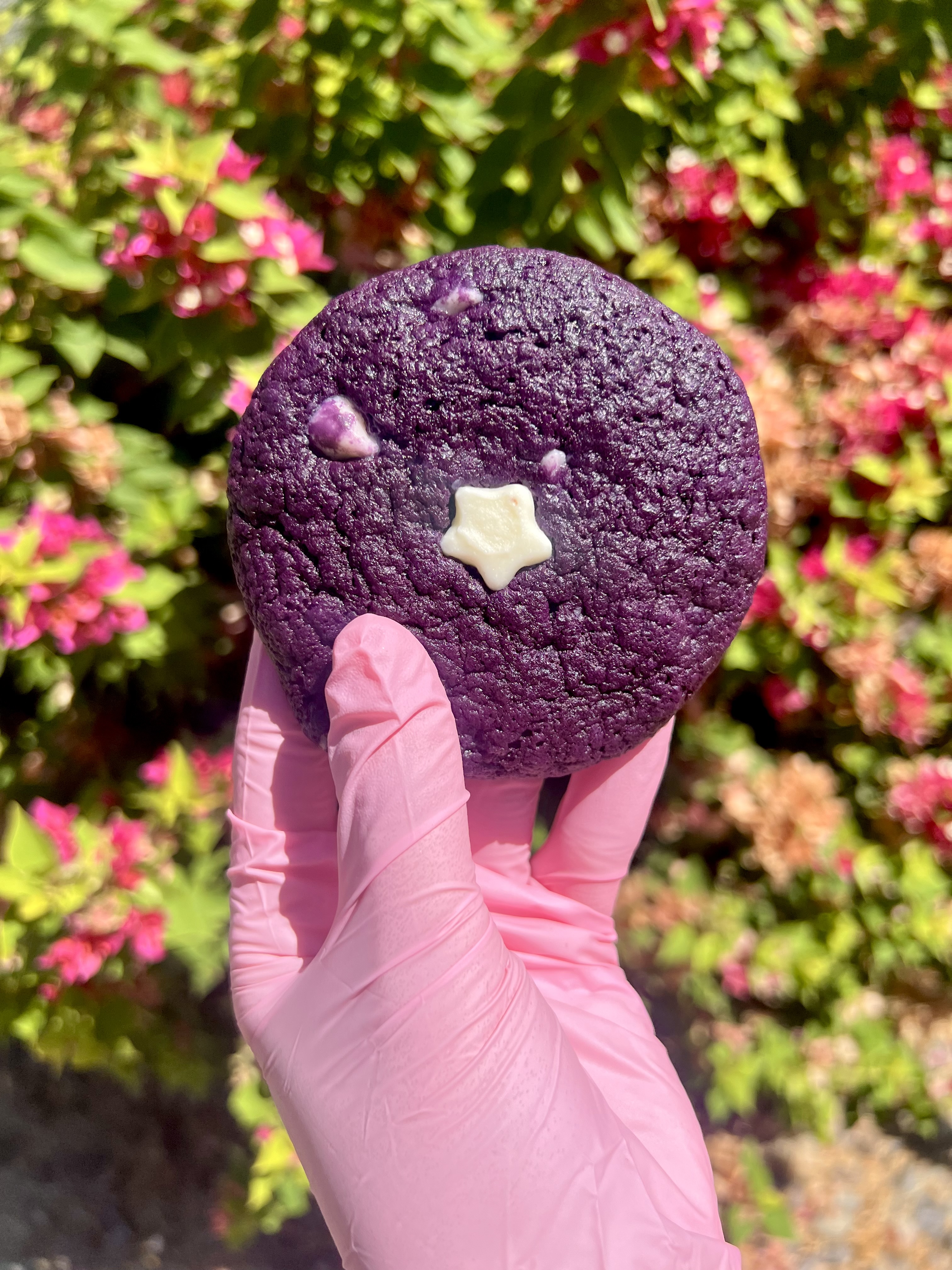 Cosmo Bakeology