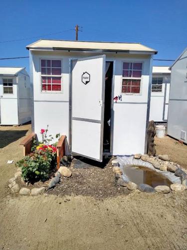 Living Hope Development Foundation 