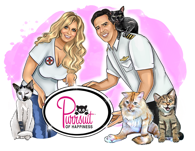 A Kitty's Purrsuit Of Happiness