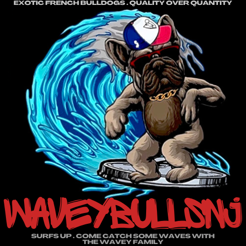 Waveybullsnj