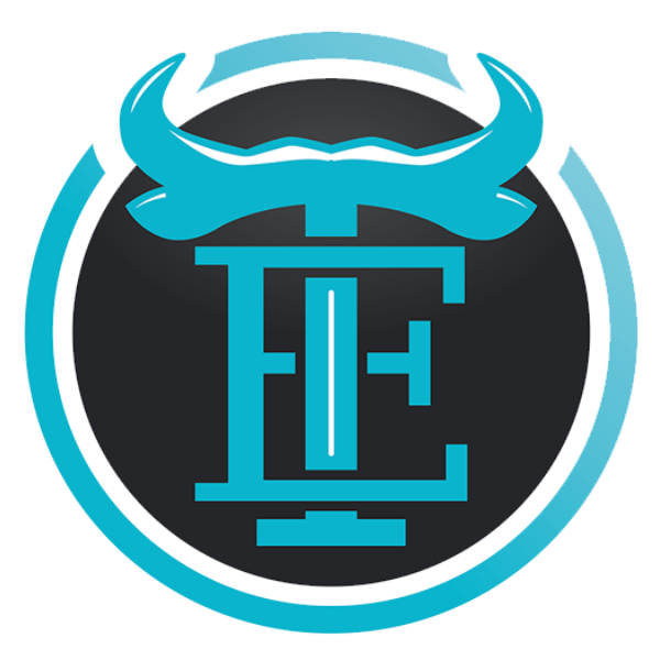 Traders Edge Group, Inc.