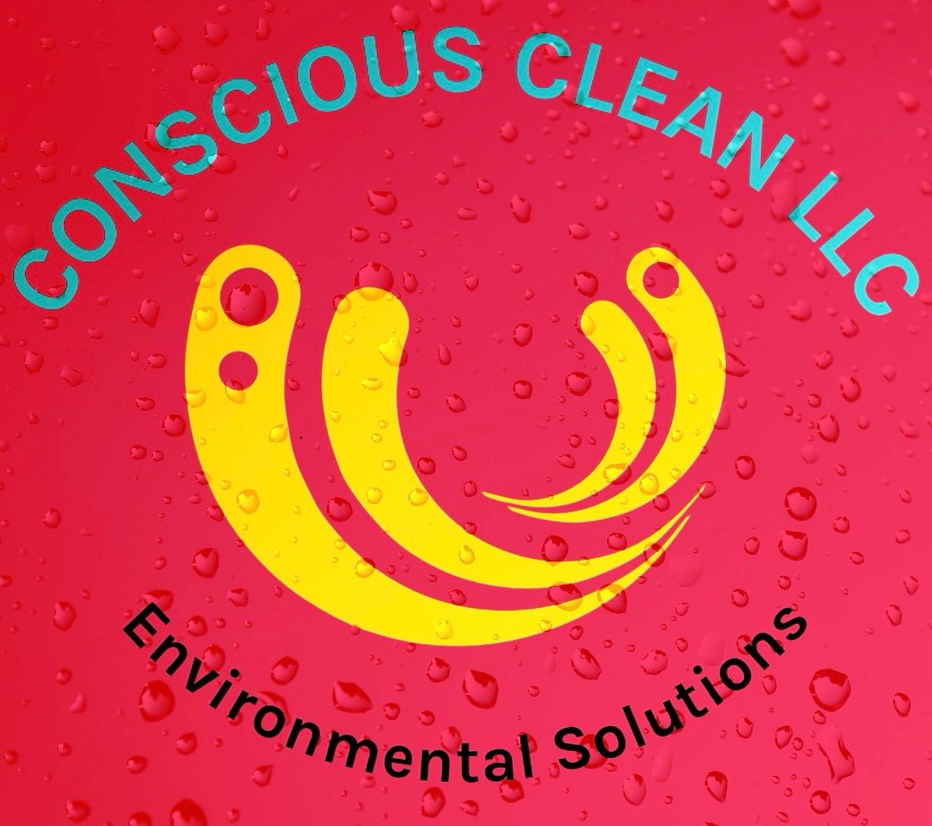 Conscious Clean LLC