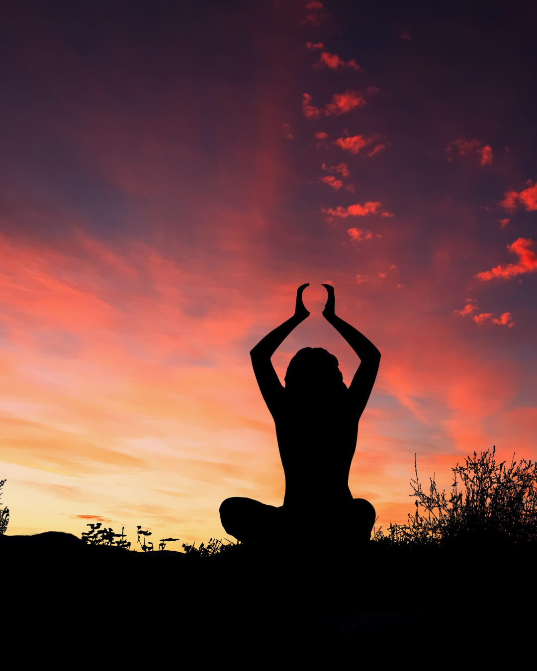 Soft Essence Therapy