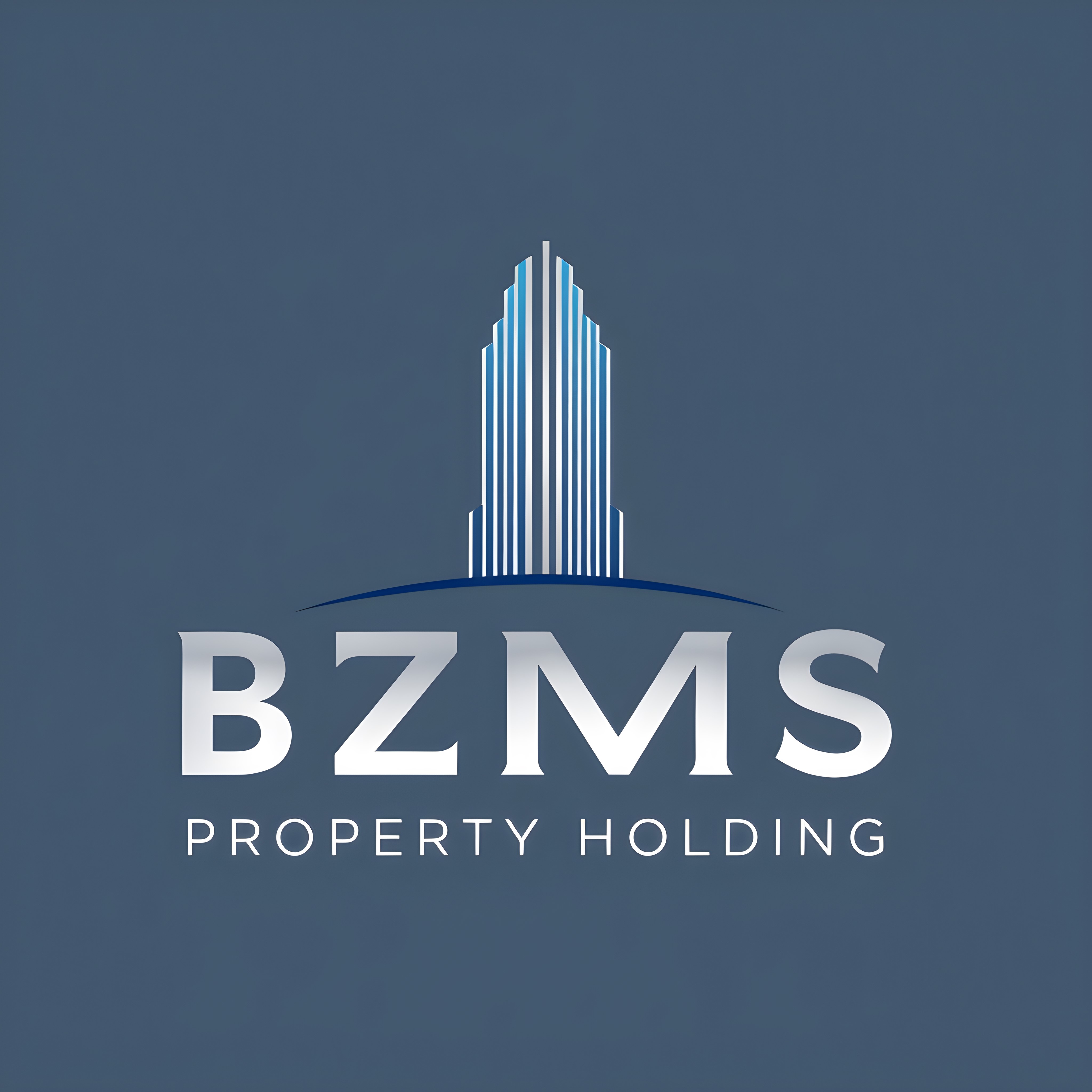 Bzms Property Holding