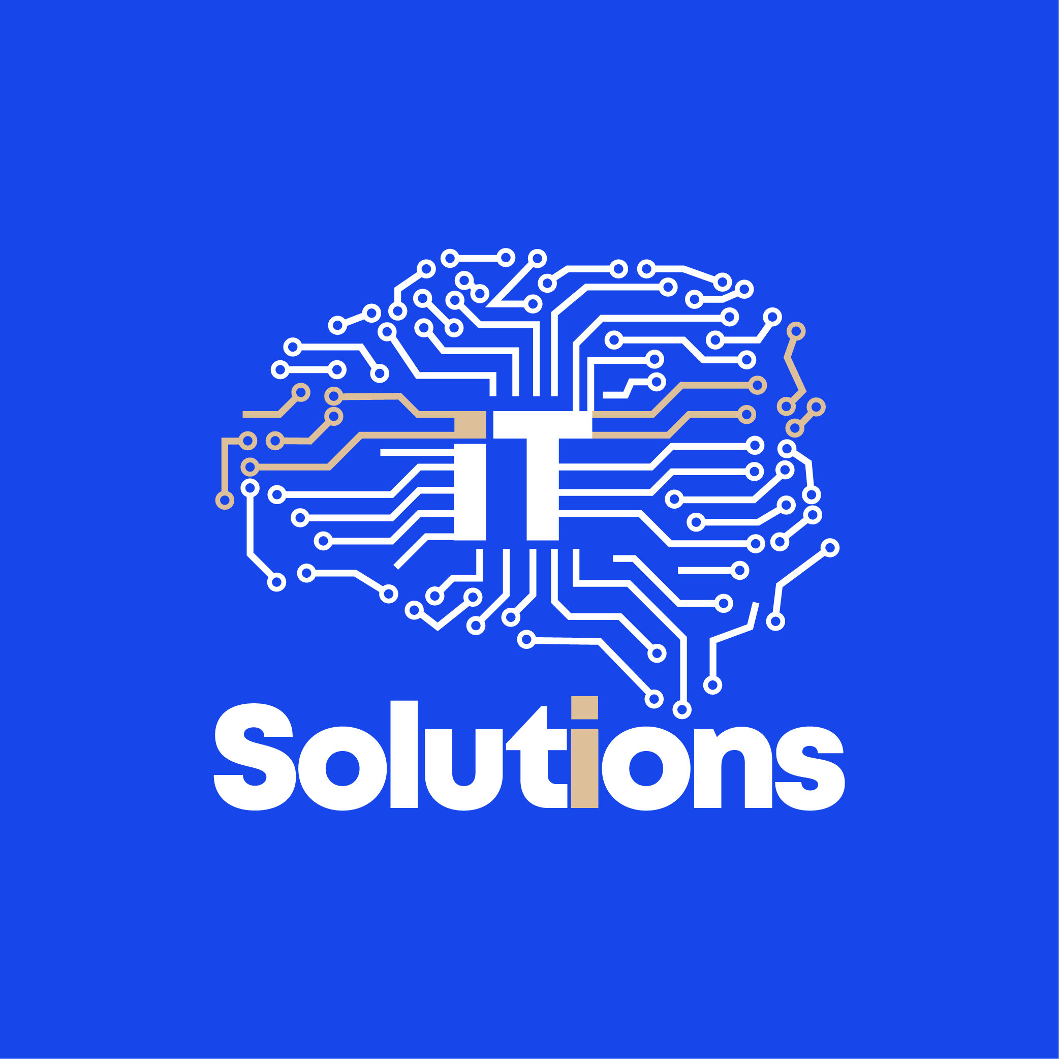 Integrated Technology Solutions LLC