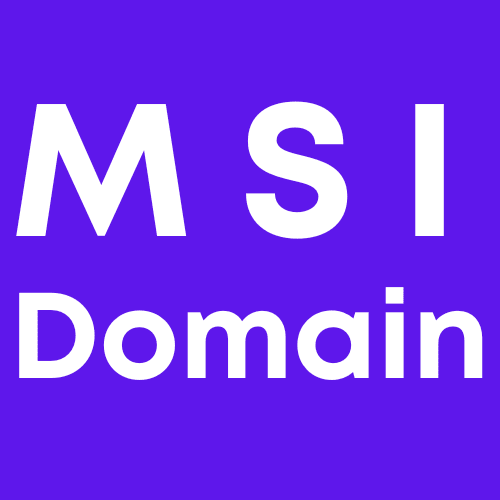 Msi Domain Inc