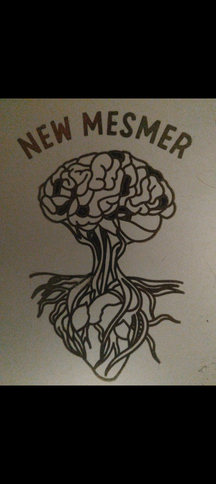 New Mesmer Enterprises L.L.C.