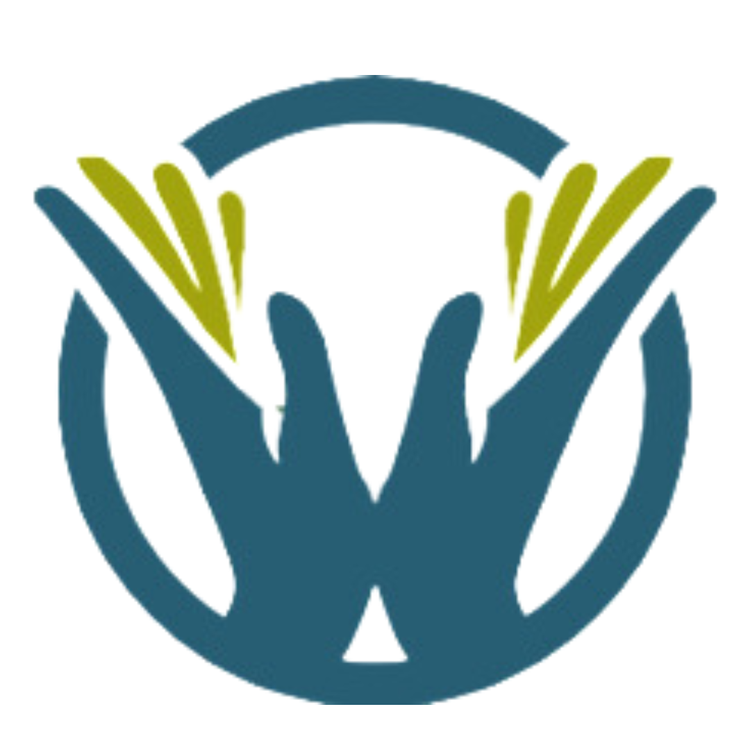 Vr Accounting Services LLC