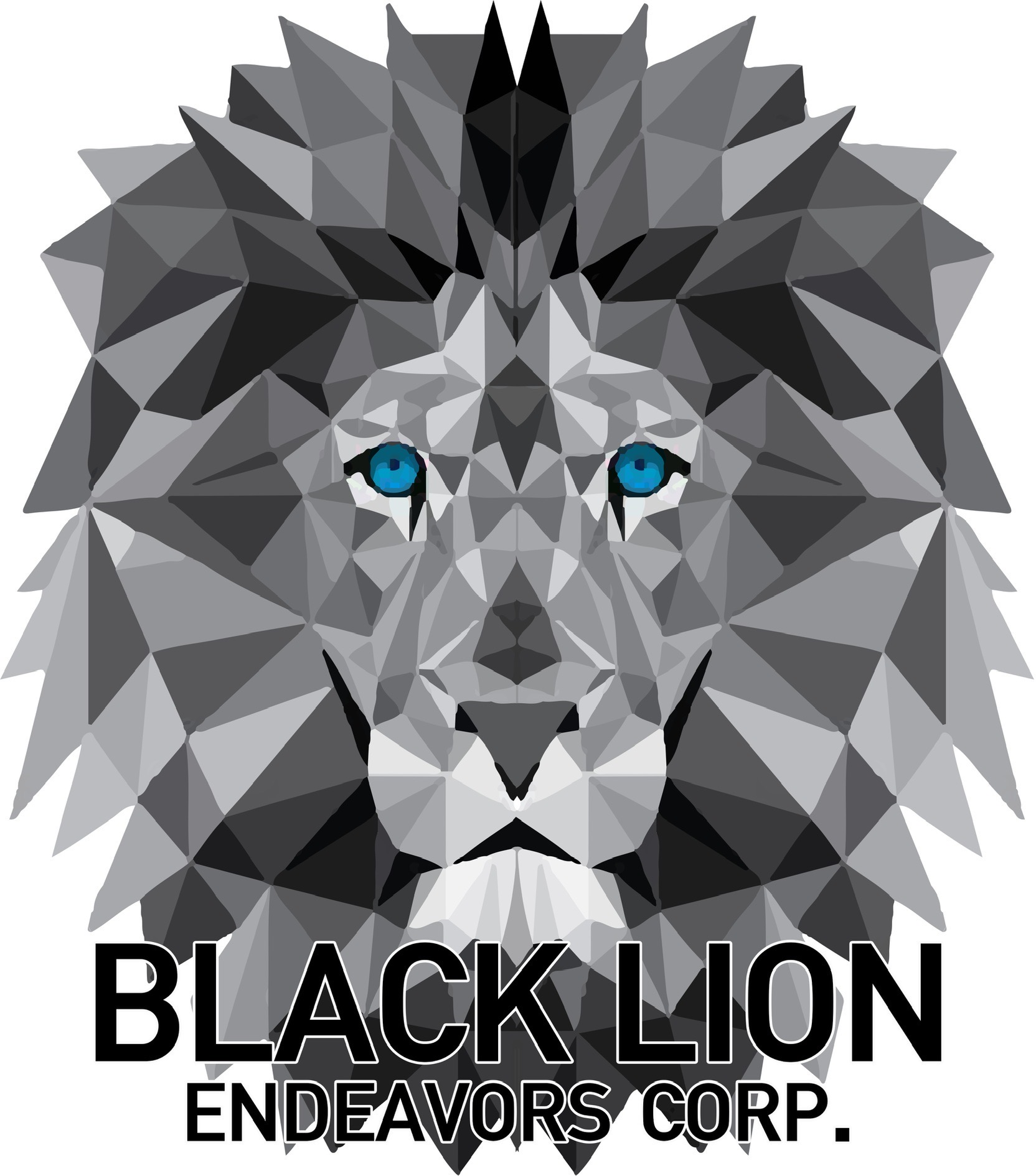 Black Lion Endeavors Corporation