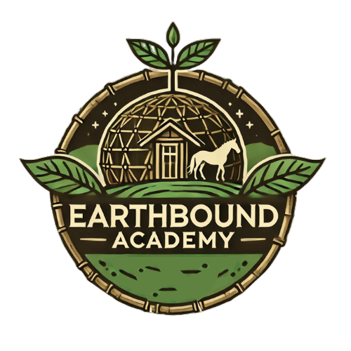 Earthbound Academy Corp