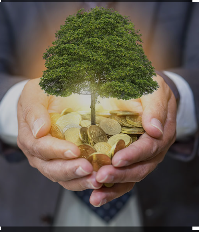 Reeder Retail Solutions