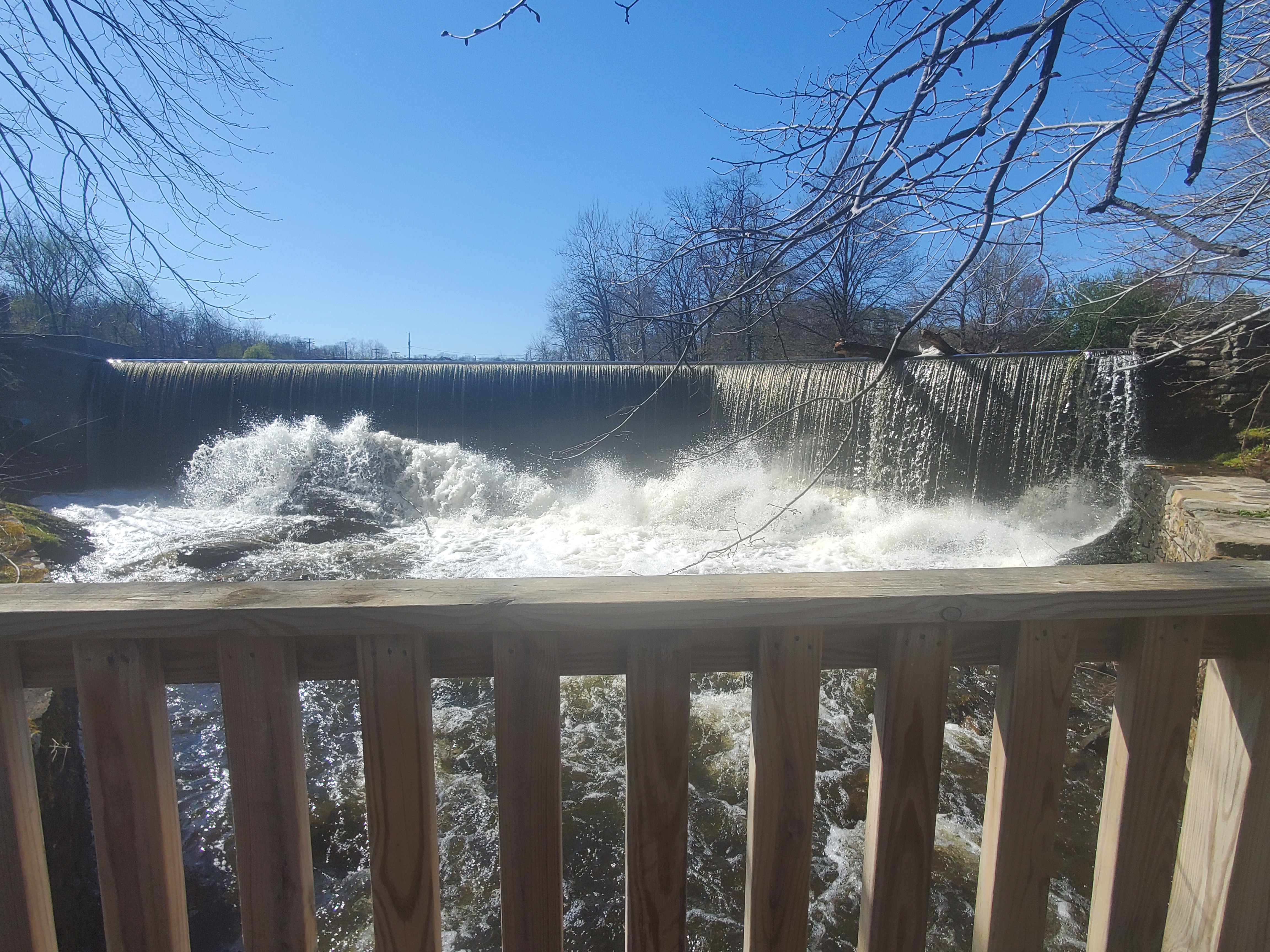 The Royal Kellam Transportation