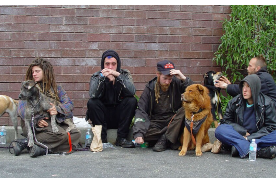 Bashowasnewbeginninngs