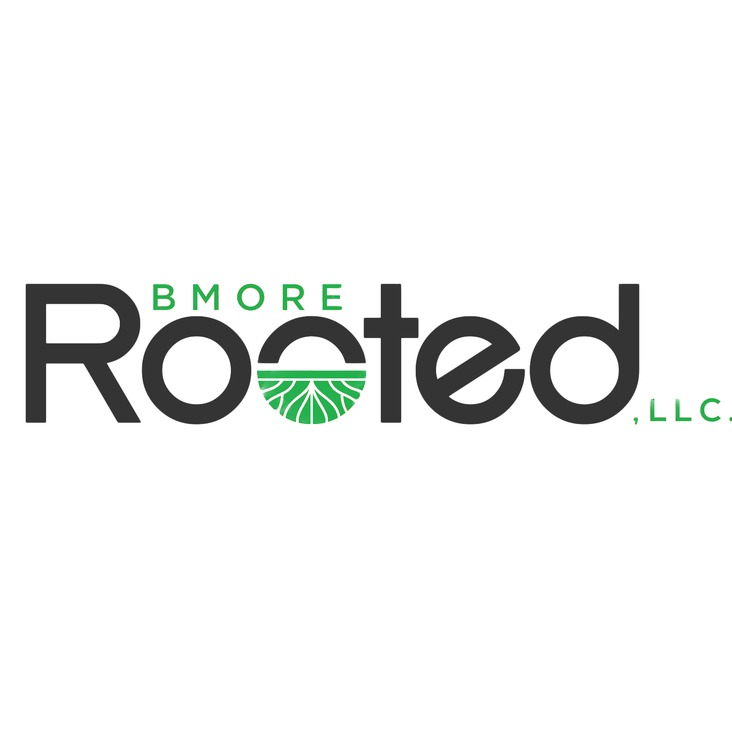 Bmore Rooted Psychological Services