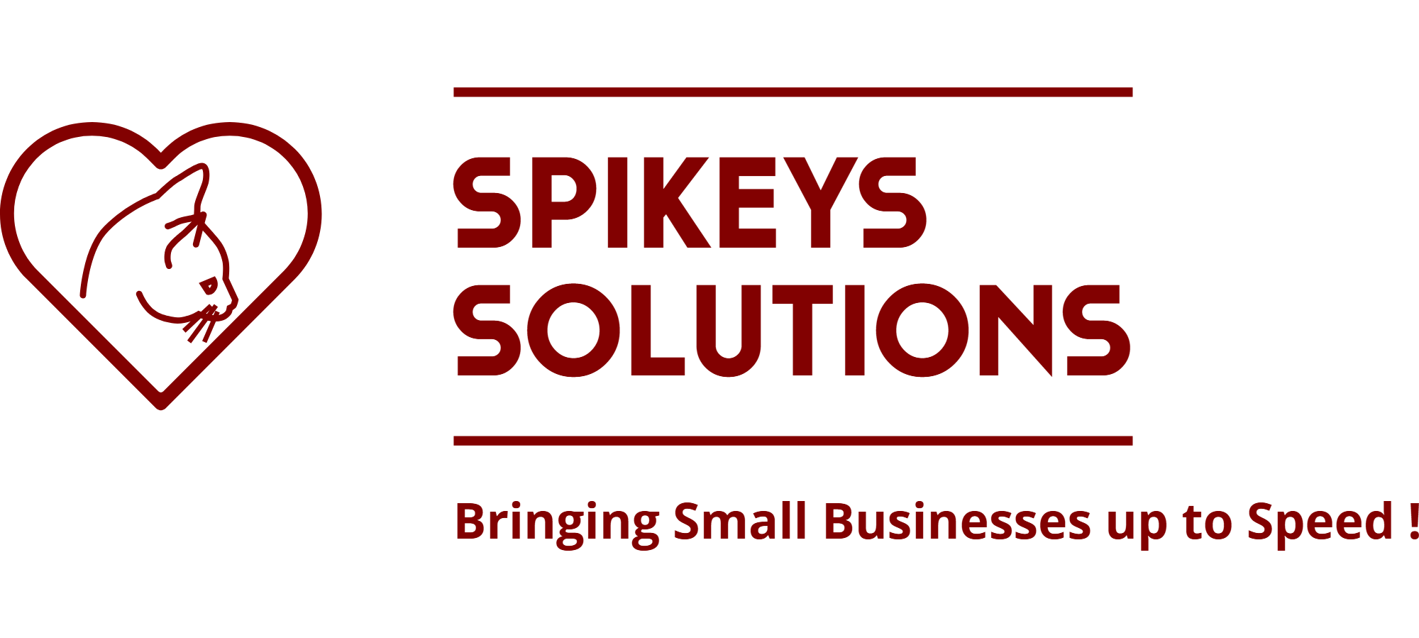 Spikeys Solutions