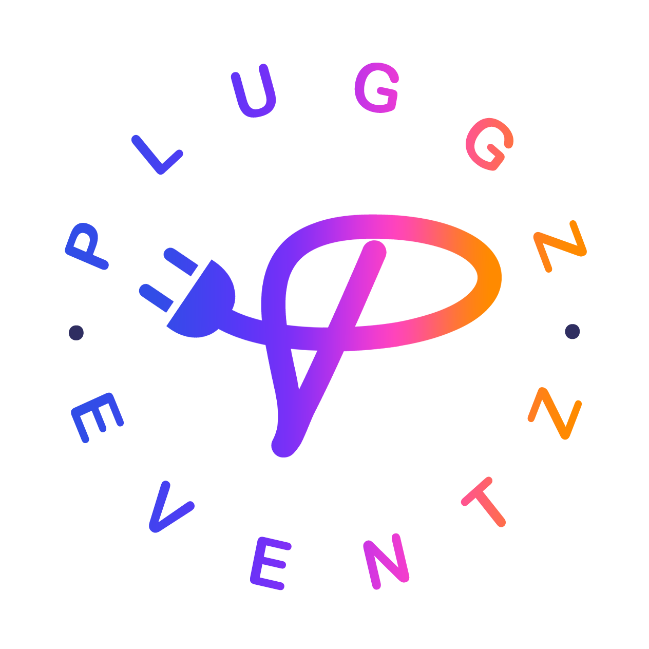 Pluggz Enterprises LLC