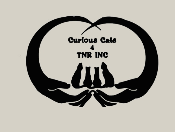 Curious Cats 4 TNR INC