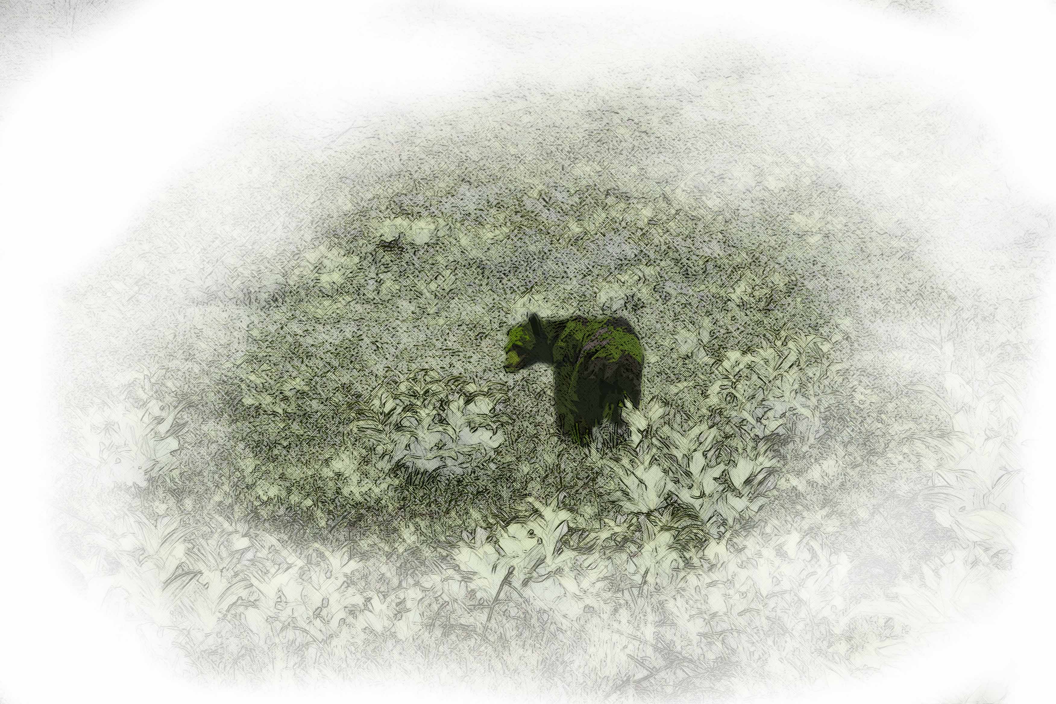 Jenny Bocko Photography