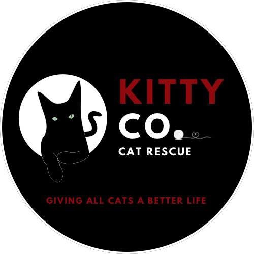 Kitty Co. Cat Rescue