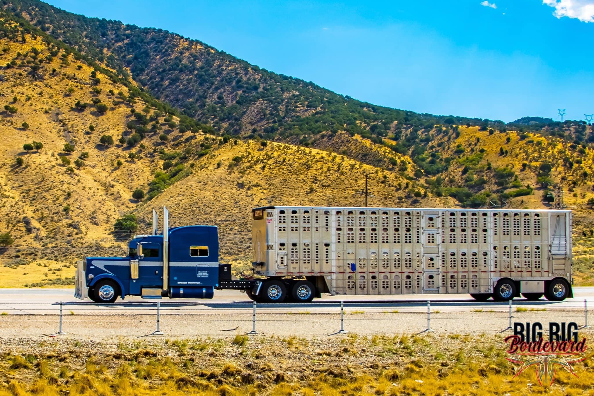 Strong trucking LLC