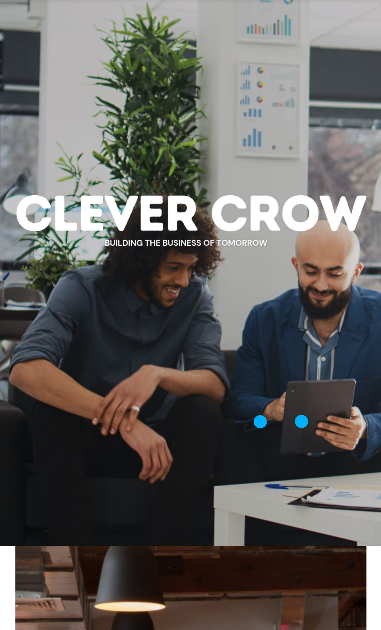 Clever Crow LLC