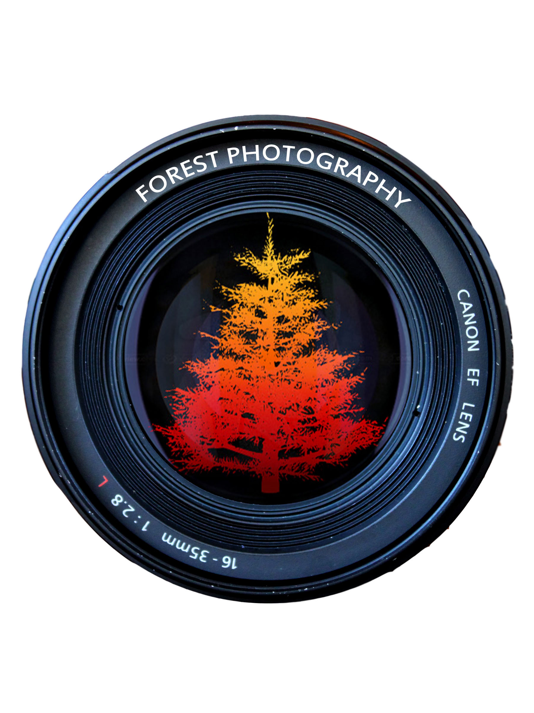 Forest Photography, LLC