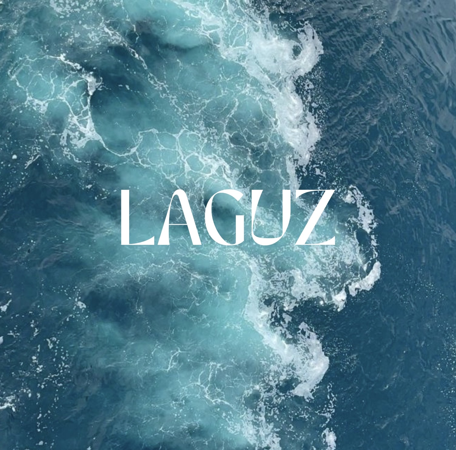 Laguz Swim
