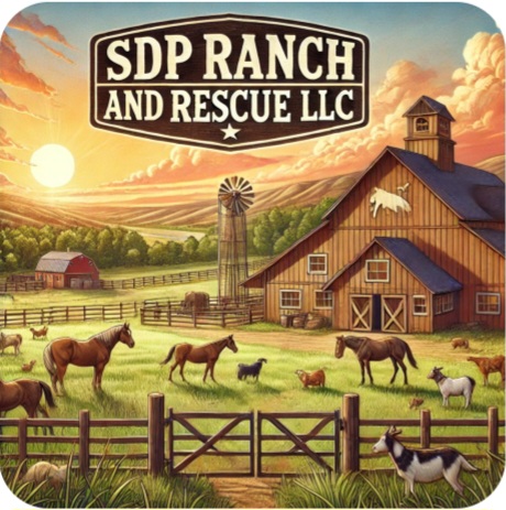 Sdp Ranch & Rescue LLC