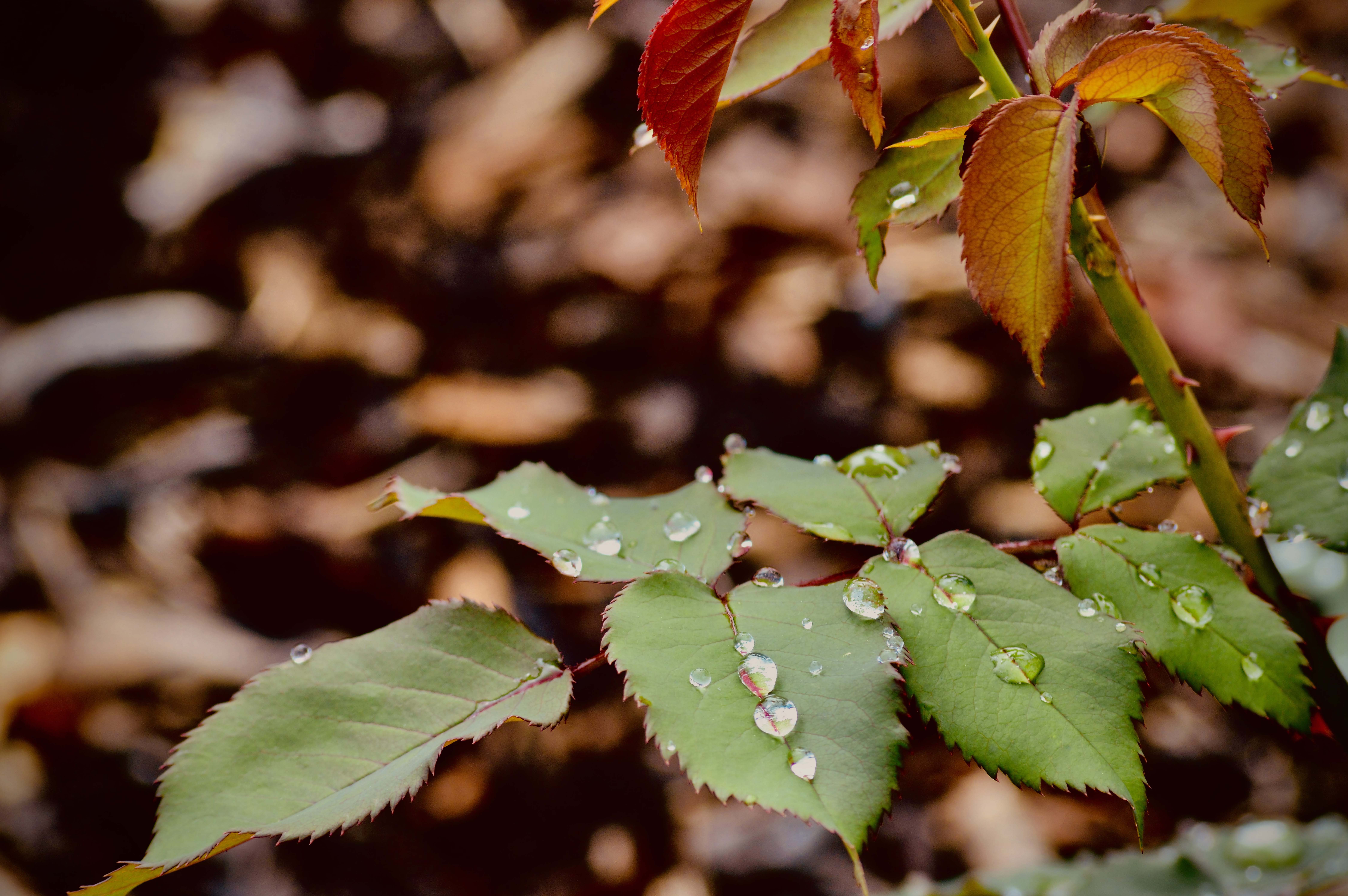 SAGE Healing Spa & Lounge