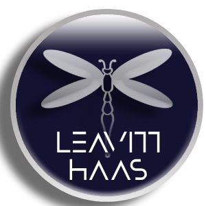 LEAVITTHAAS LLC