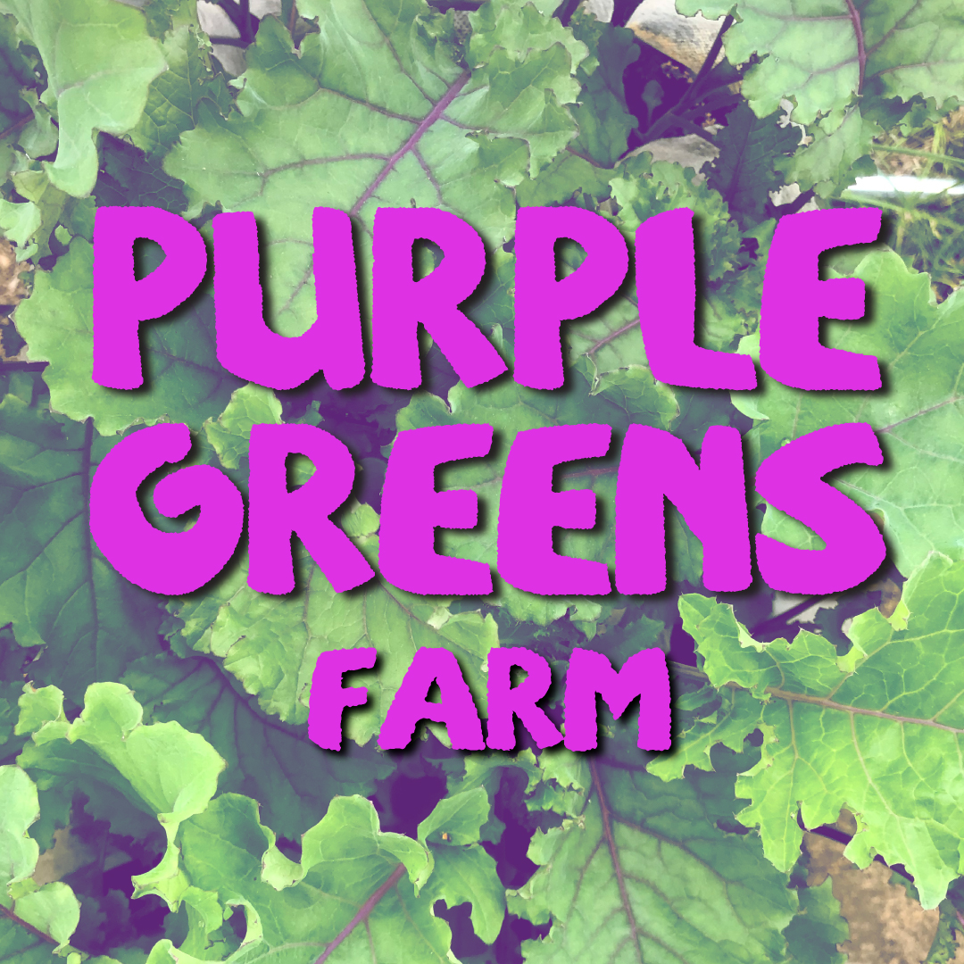 Purple Greens Farm