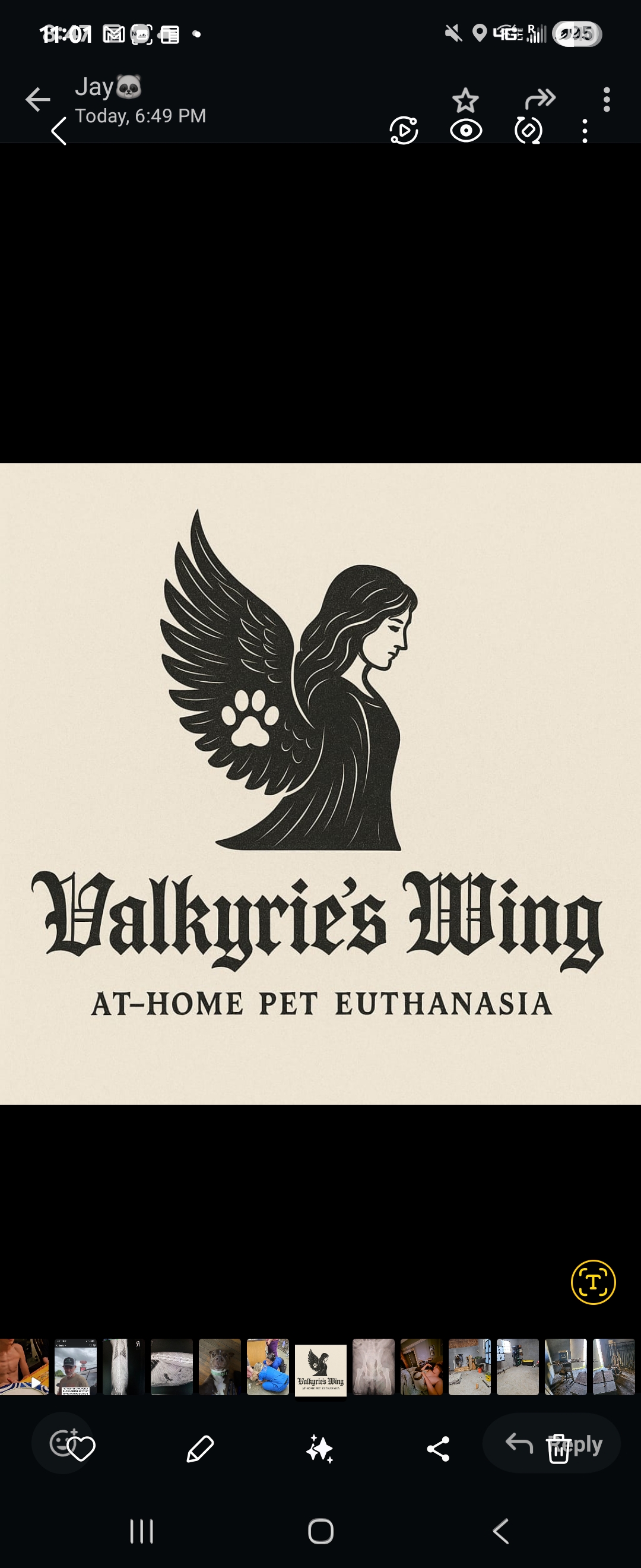 Valkyrie's Wing