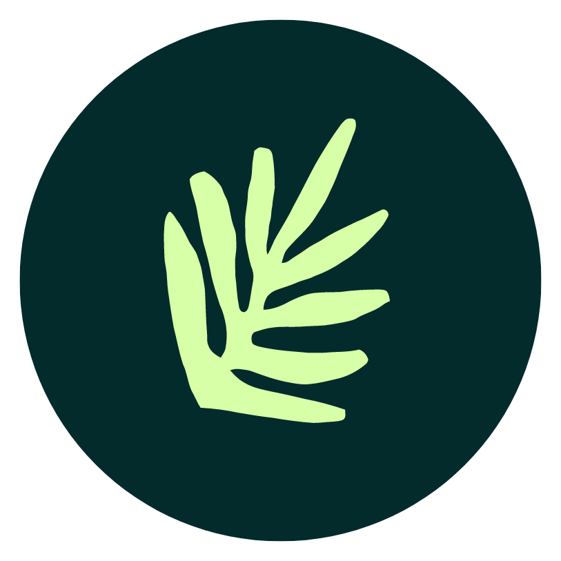 Bloom Creative Multimedia Solutions