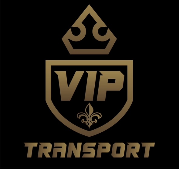 VIP TRANSPORT LLC
