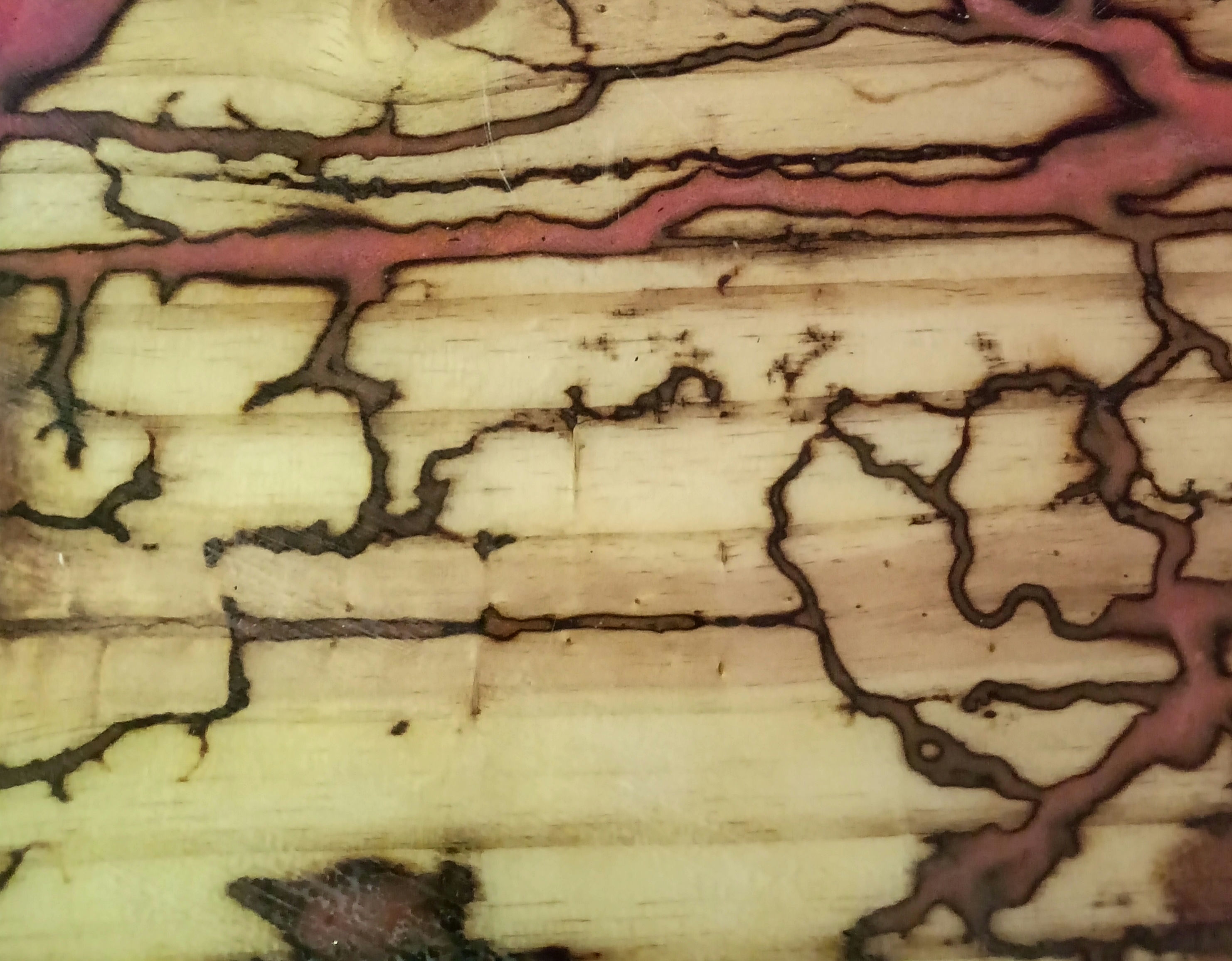 Leanne's Forever Pieces