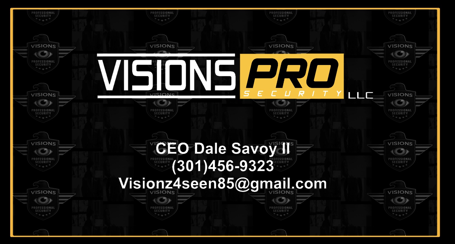Vision Professional Security