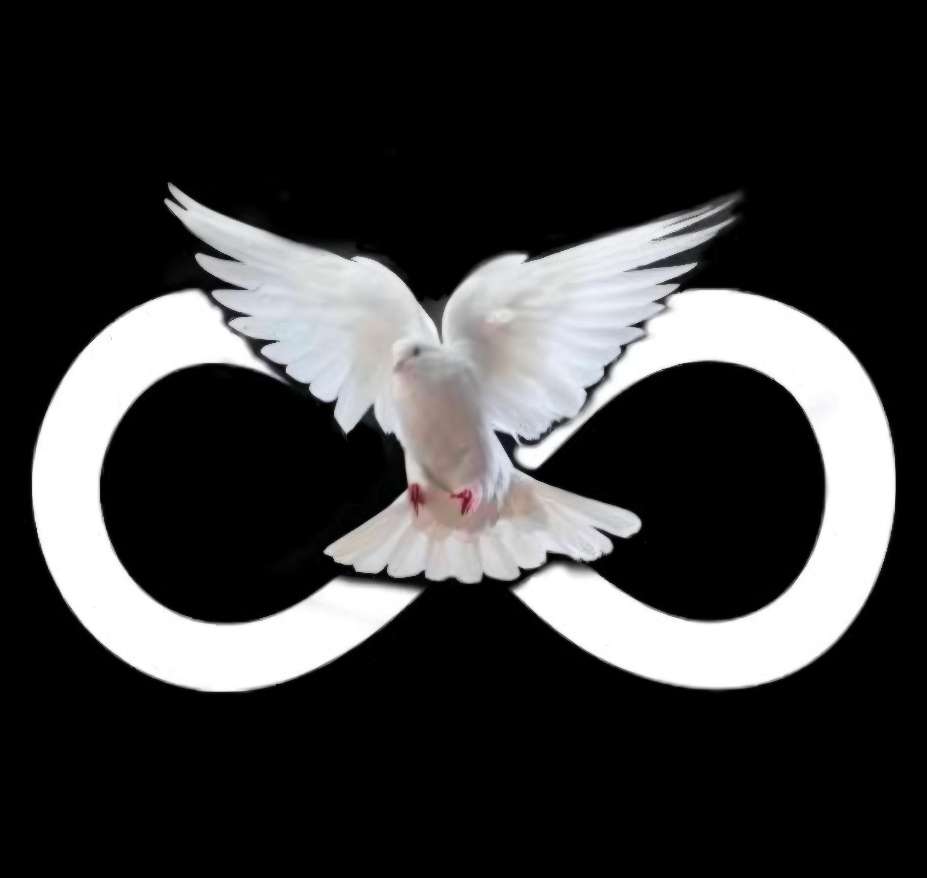 InfinityVerse