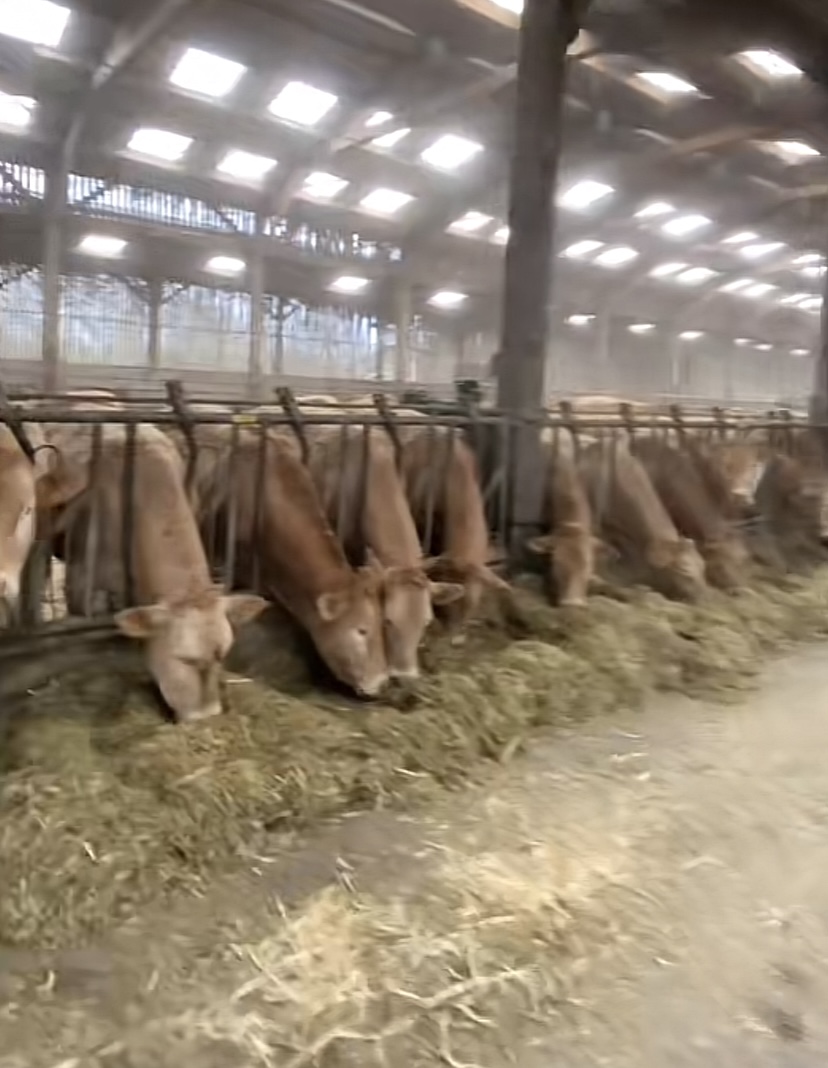 Amazon Integrated Farming 