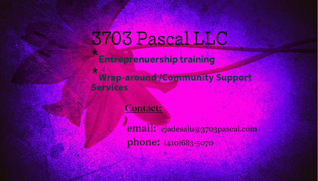 3703 Pascal LLC