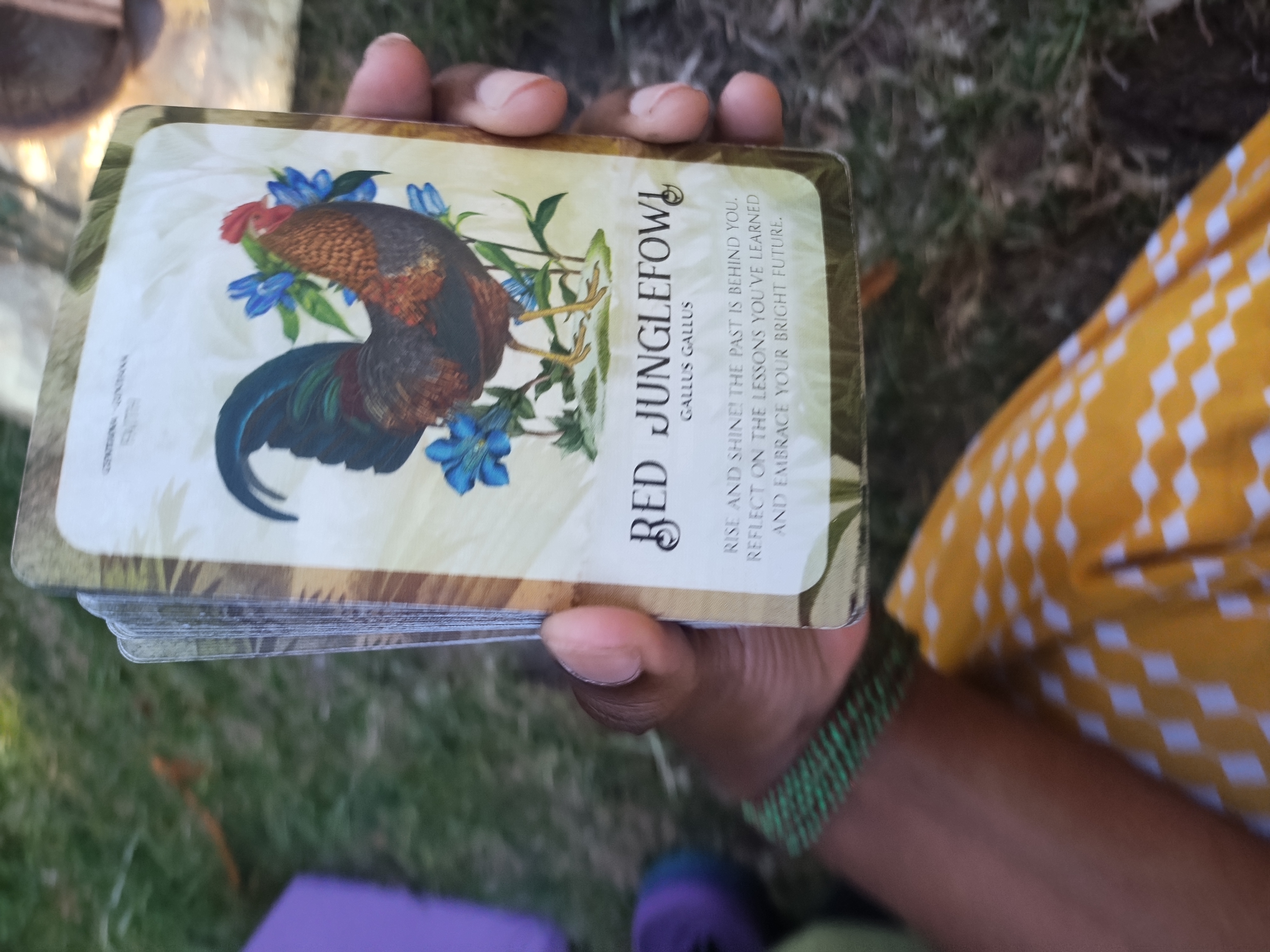 Chardonay Thomas - Ancestral Alignment Coaching