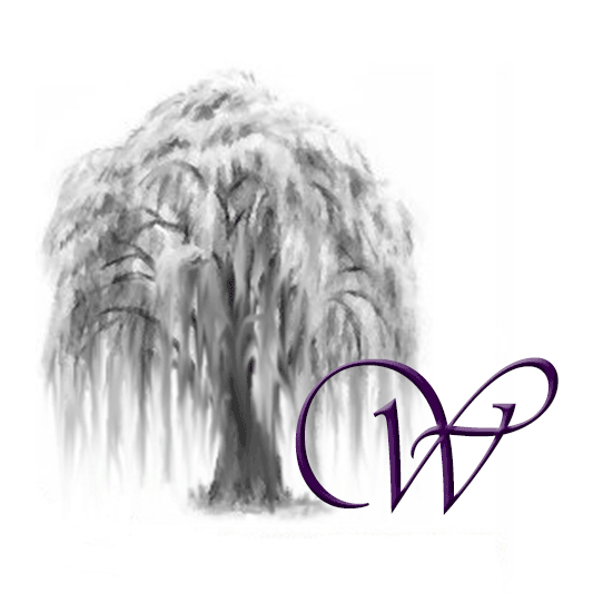 Willow Reporting & Transcription