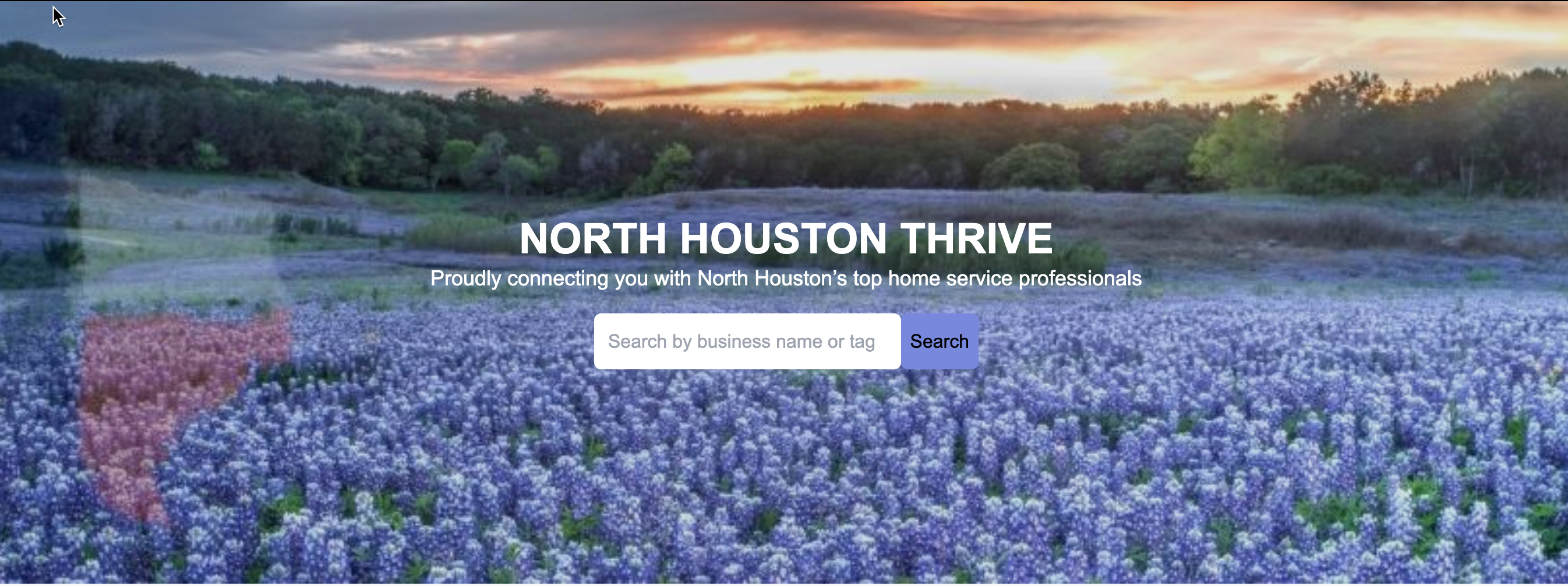 North Houston Thrive / Local Profit Center