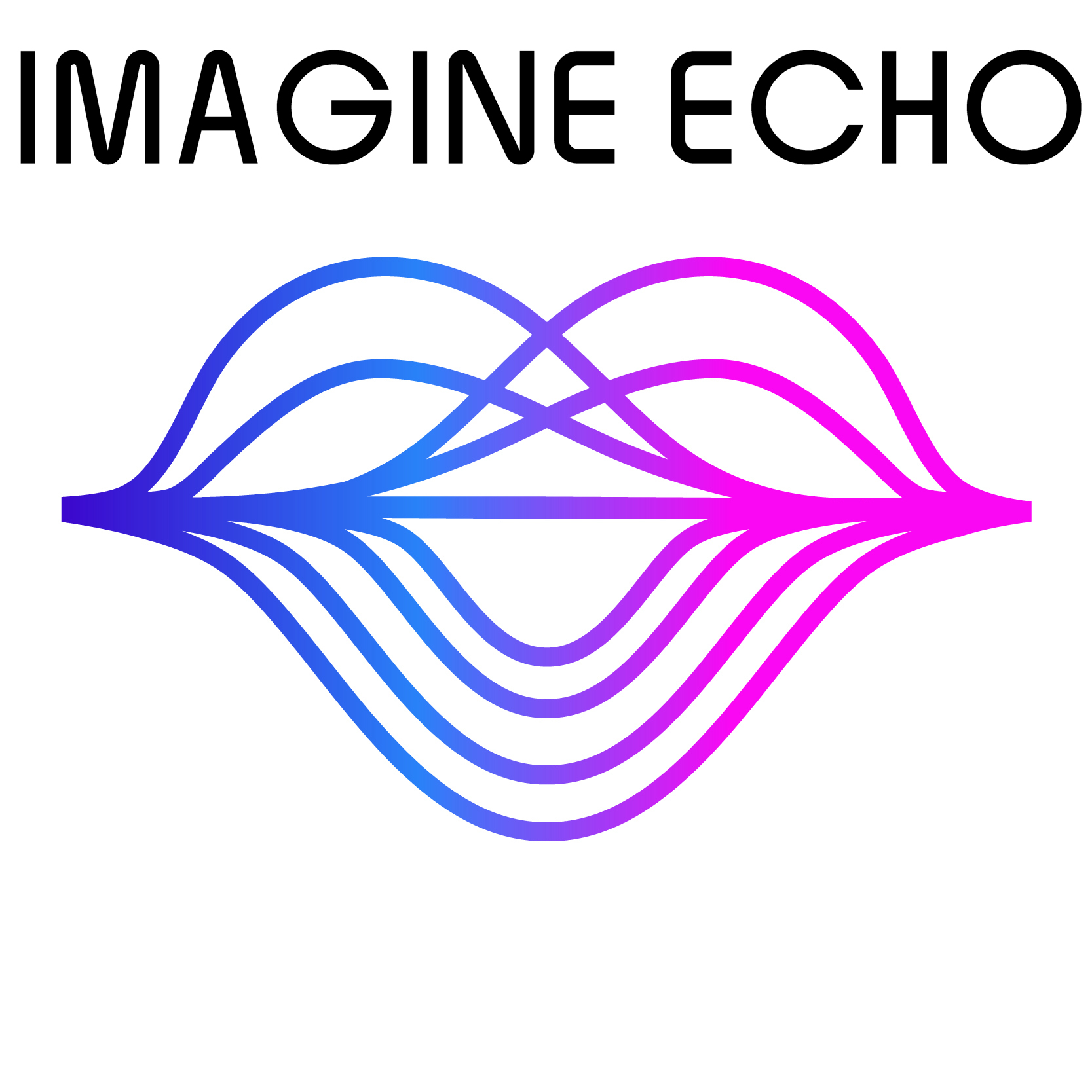ImagineEcho